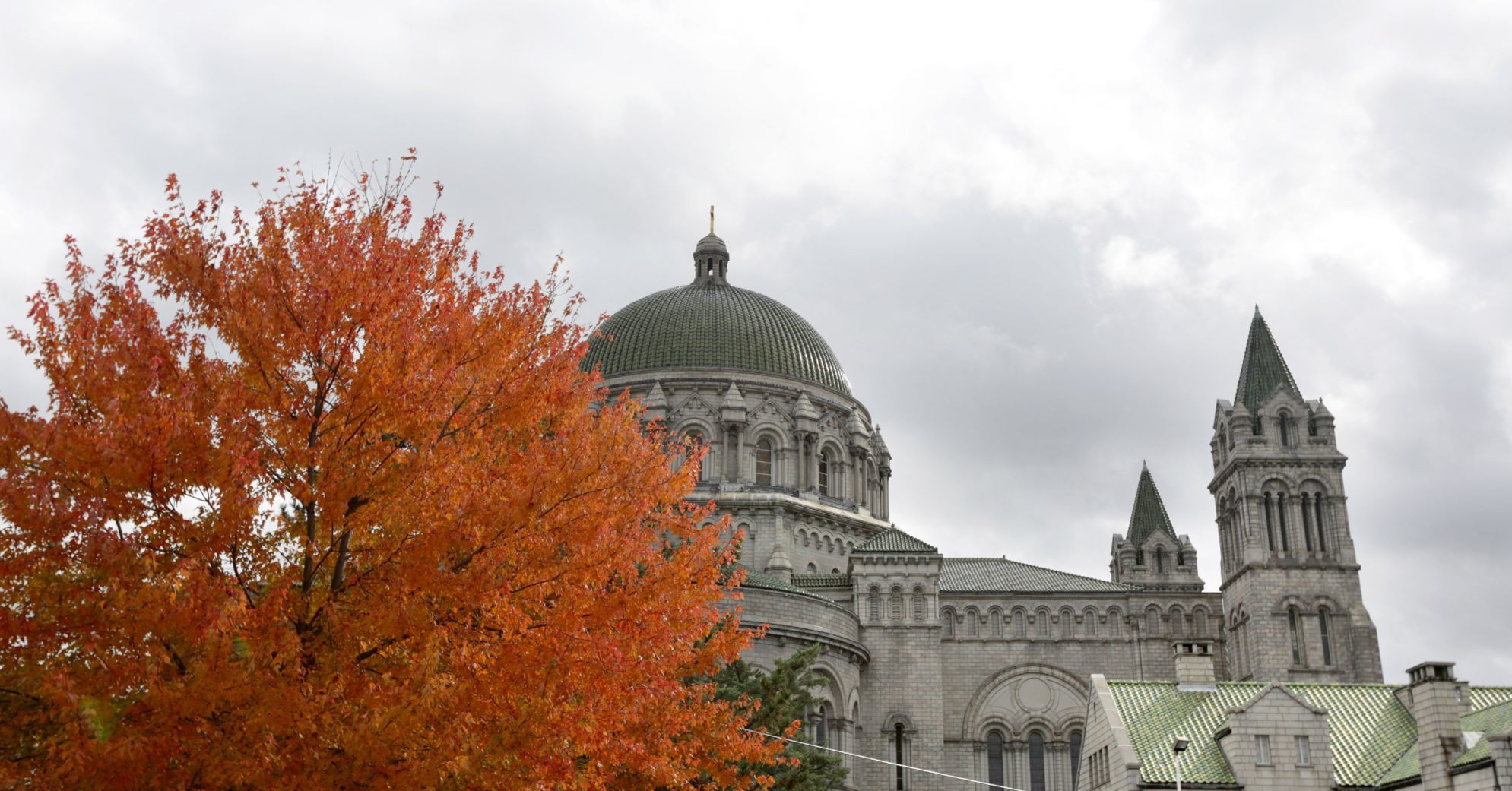 Fall and the Cathedral Basilica